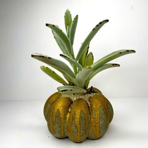 PUMPKIN / PLANTER - Handmade Home Decor